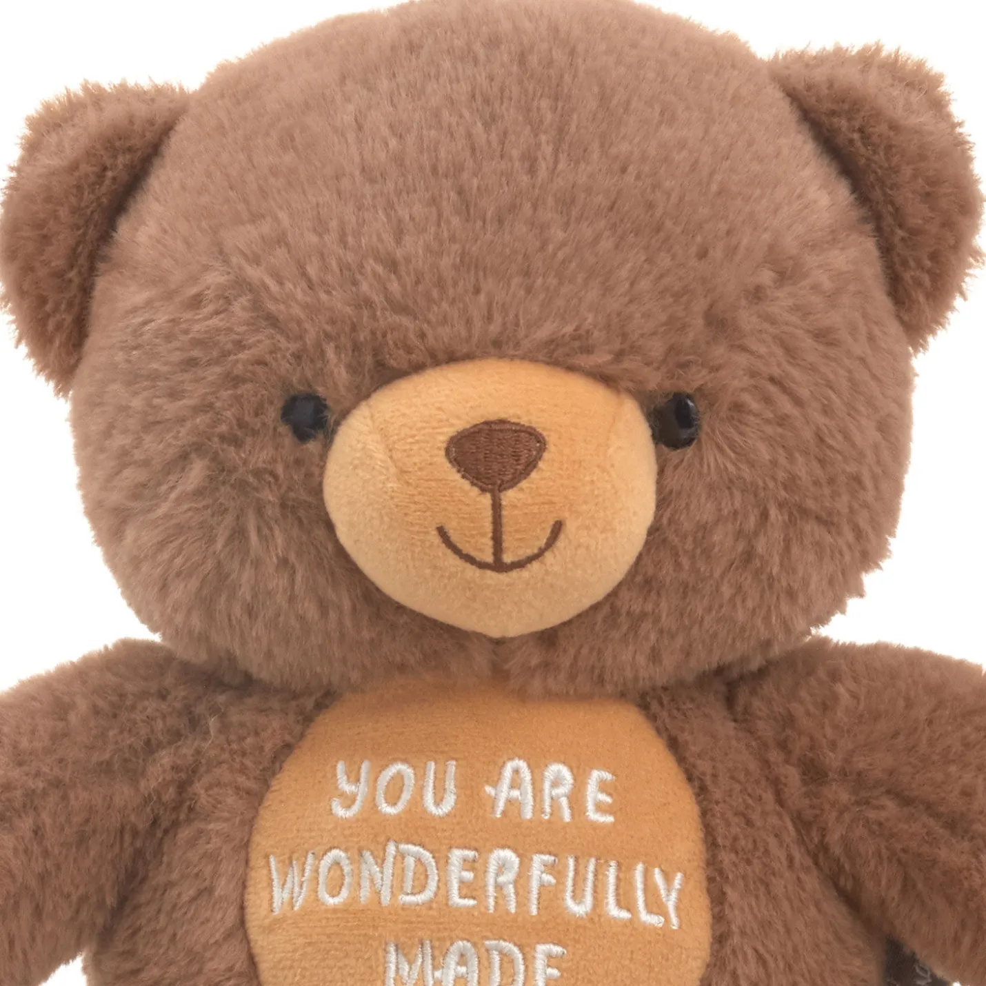 You Are Wonderfully Made Teddy Bear Plush, 8"