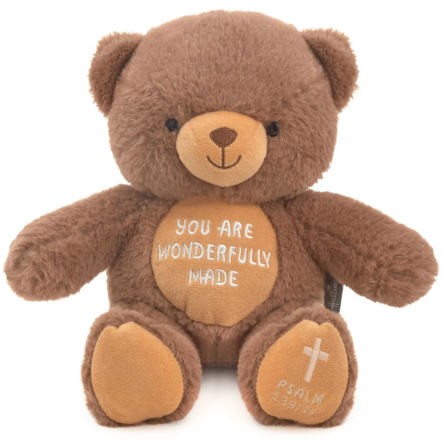 You Are Wonderfully Made Teddy Bear Plush, 8"