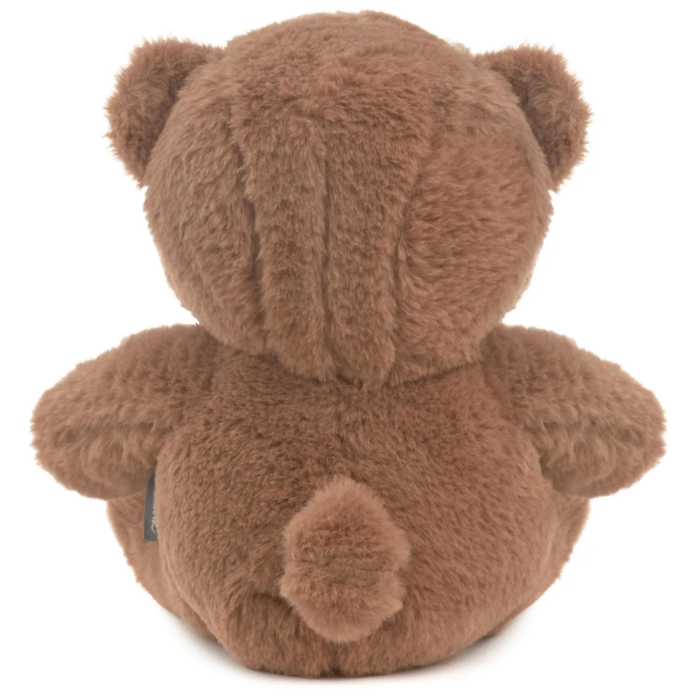 You Are Wonderfully Made Teddy Bear Plush, 8"