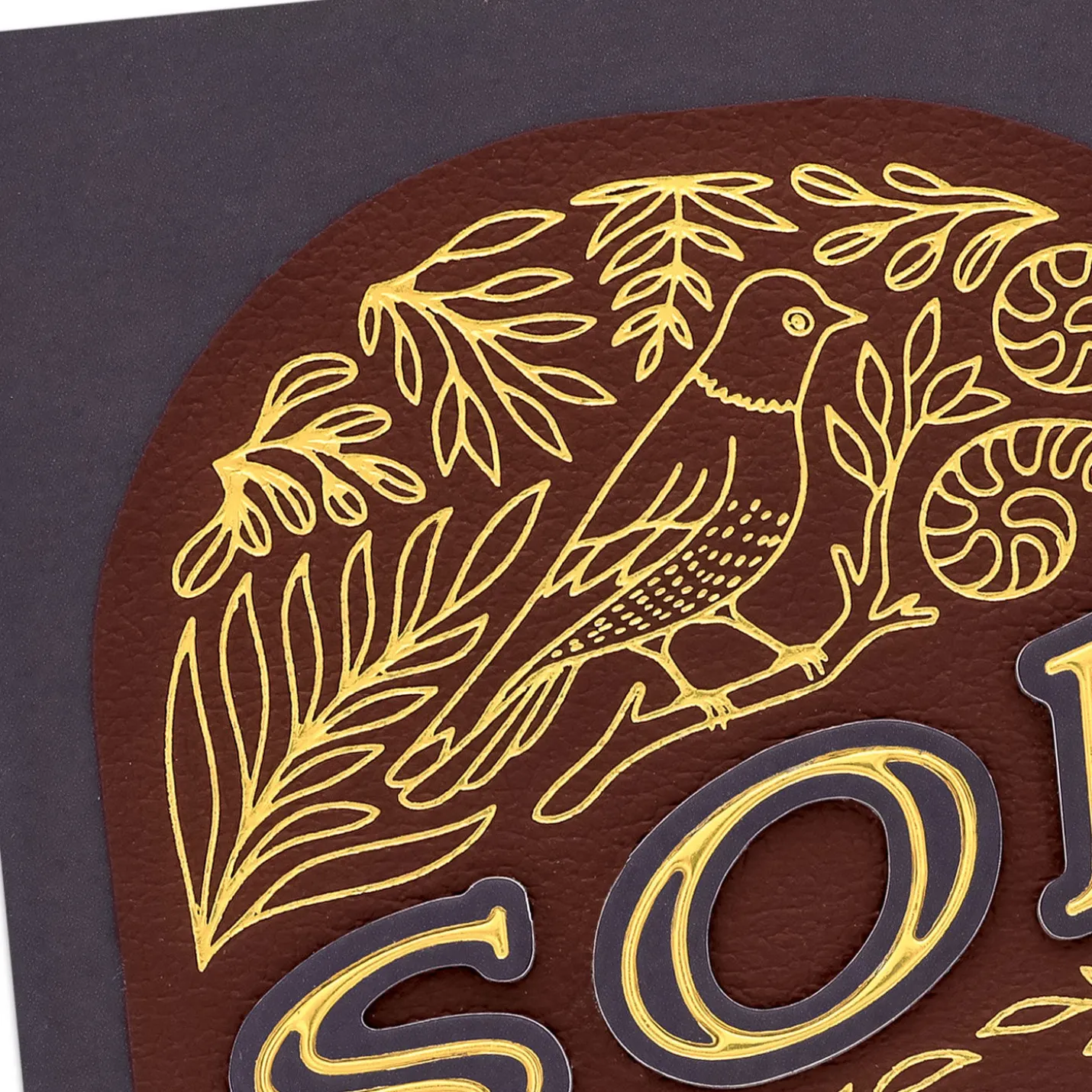 You Deserve the Best Birthday Card for Son
