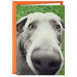 You Don't Smell Old Funny Birthday Card