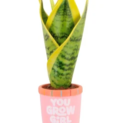 You Grow Girl Houseplant Hallmark Ornament