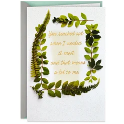 Your Caring Means a Lot Sympathy Thank-You Card