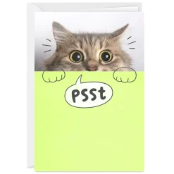You're Mind Boggling Peeking Cat Custom Card