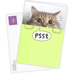 You're Mind Boggling Peeking Cat Custom Card