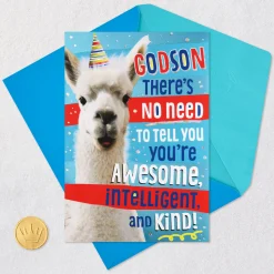 You're Made in God's Image Llama Birthday Card for Godson