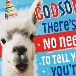 You're Made in God's Image Llama Birthday Card for Godson