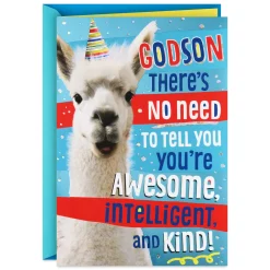 You're Made in God's Image Llama Birthday Card for Godson