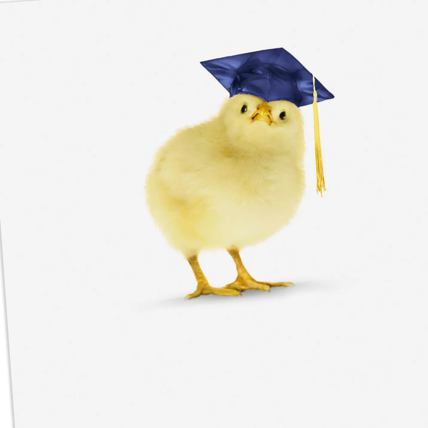You're One of My Favorite Peeps Funny Graduation Card