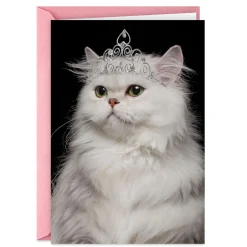 You're the Damn Queen Funny Birthday Card