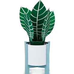 Zebra Plant Own Your Stripes 3D Pop-Up Thinking of You Card