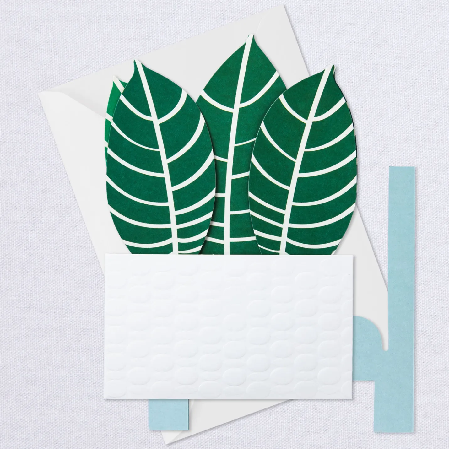 Zebra Plant Own Your Stripes 3D Pop-Up Thinking of You Card