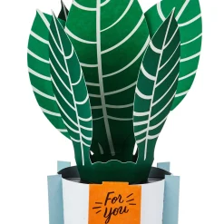Zebra Plant Own Your Stripes 3D Pop-Up Thinking of You Card