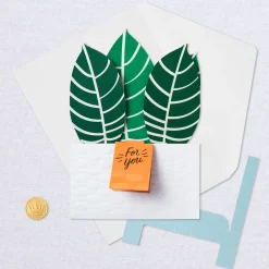 Zebra Plant Own Your Stripes 3D Pop-Up Thinking of You Card