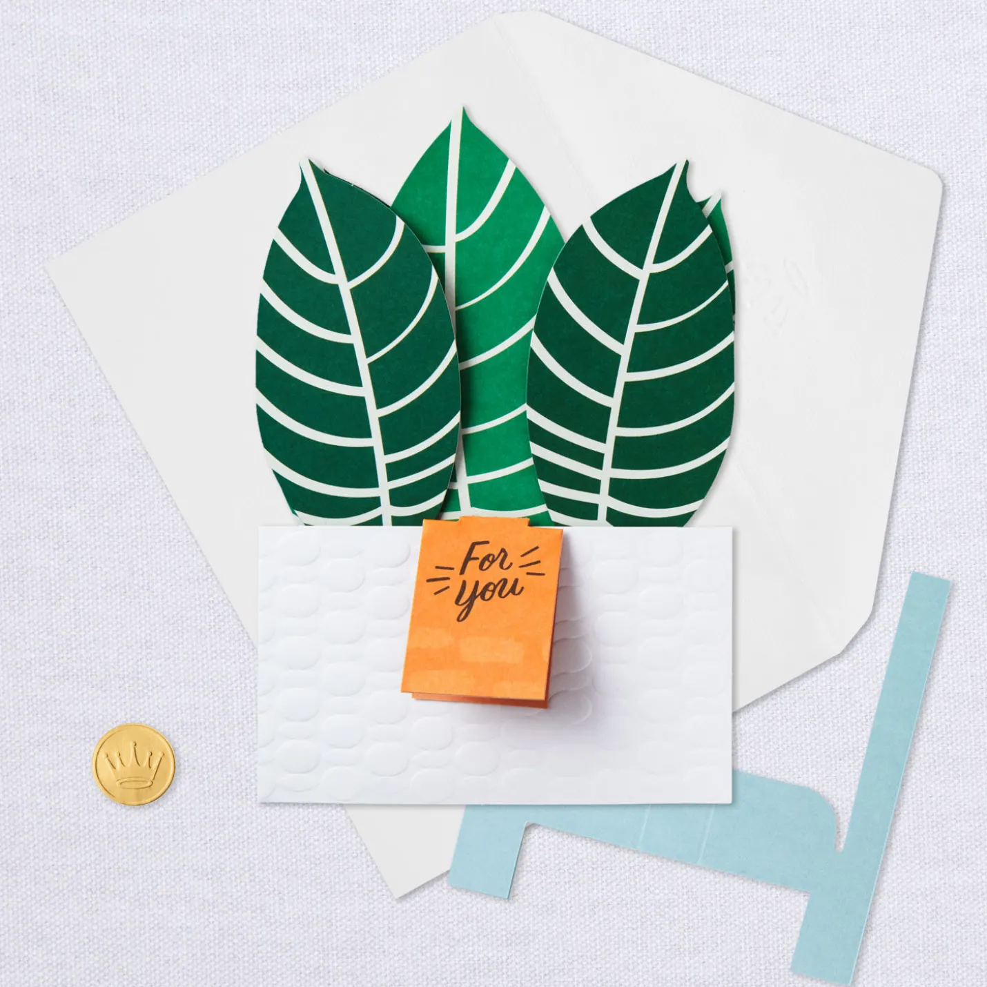 Zebra Plant Own Your Stripes 3D Pop-Up Thinking of You Card